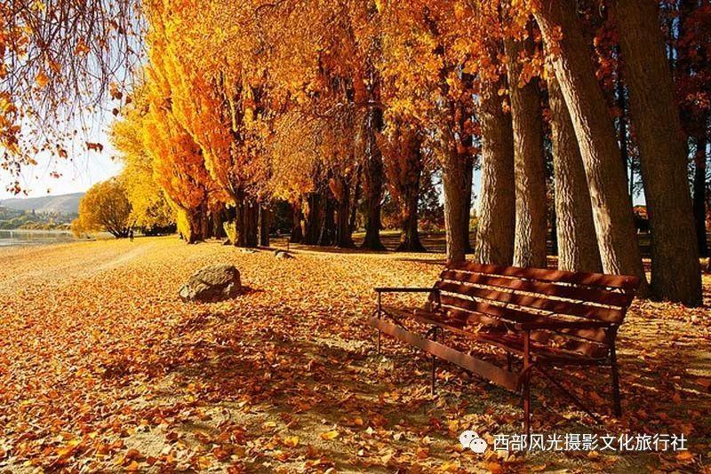 为何现在的人都喜欢过单身生活，离婚的越来越多了？游戏画面